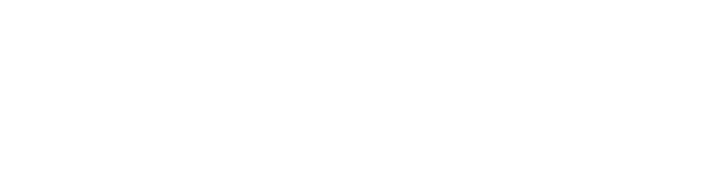 Karen Trivino Real Estate Miami